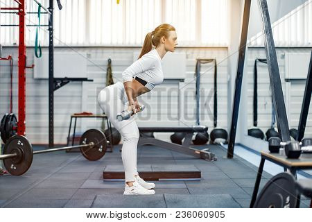 Young Fitness Woman Lifting A Weight In The Gym. Fitness Woman Deadlift Barbell.