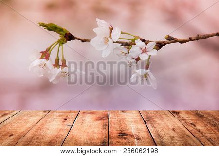 Image Of Wooden Table In Front Of Cherry Blossom Background