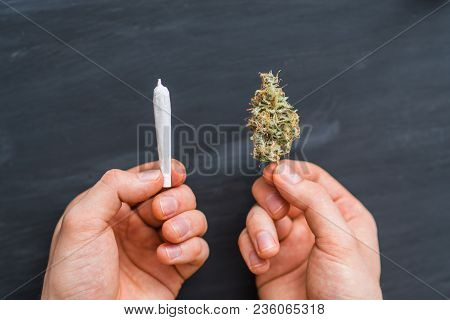 Top View Hand Of Man Rolled Joint Buds Of Marijuana, Unrolled Weed On A White Background Top View Cl