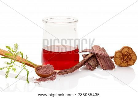 Psychedelic Plants. Mimosa Hostilis Root Bark And Plant And Ayahuasca Brew Isolated On White.