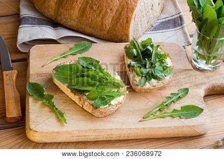 Two Slices Of Sourdough Bread With Butter And Fresh Dandelion Leaves