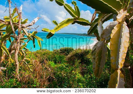 Beautiful Beach Bay Turquoise Sea Water And Cactus. Beautiful Scenery Holguin, Cuba.