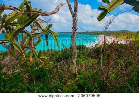 Playa Esmeralda, Holguin, Cuba. Beautiful Beach Bay Turquoise Sea Water And Cactus. Beautiful Scener