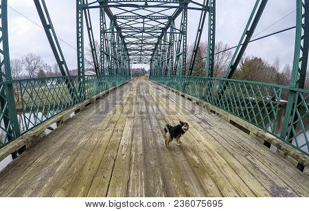 This Metal And Wood Bridge Is In A Rural Area. My Dog And I Were Taking A Walk. Acton Vale, Quebec, 