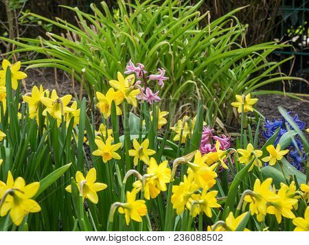 spring time in the german muensterland