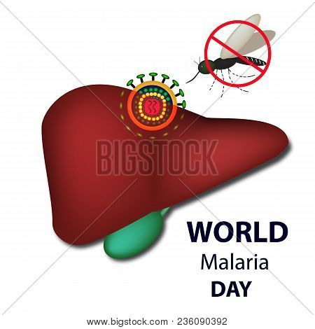 World Malaria Day. Mosquito Bans The Sign. Liver, Malaria Virus. Infographics. Vector Illustration O