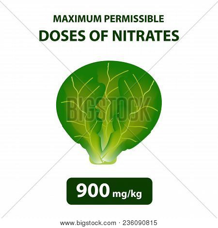 The Maximum Allowable Dose Of Nitrates In Cabbage. Nitrates In Vegetables And Fruits. Infographics. 