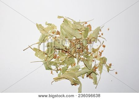 Linden Flowers. Herbal Medicine. Dry Linden Flowers On White Background. Basswood Tree.