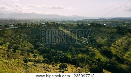 Hill With A Field. Palm And Trees. Background Mountain