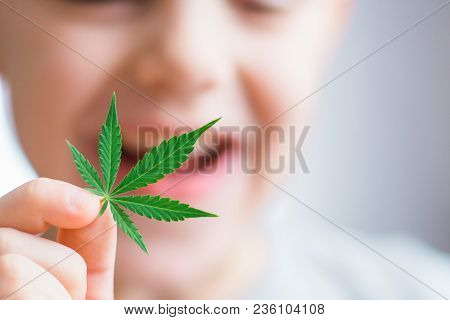 Smiling Kid Child Holding A Hemp Leaf. Concepts Of Using Marihuna For Medicinal Purposes For Childre