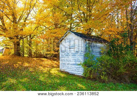 Old Country Shed