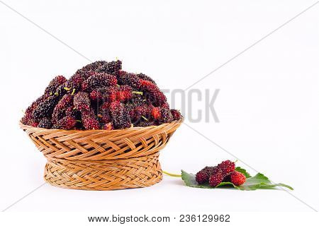 Fresh Organic Mulberries In Brown And Mulberries Lef Basket On White Background Healthy Mulberry Fru
