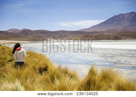 Young Woman At Laguna Hedionda At Andean Altiplano In Bolivia