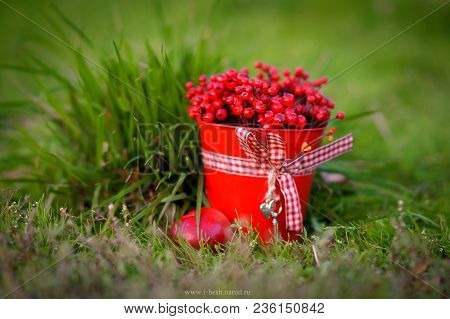 Berry Season. Red Bucket With Berries . Harvest Of Berries.organic Bio Berries