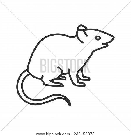 Mouse Linear Icon. Thin Line Illustration. Rat. Contour Symbol. Vector Isolated Outline Drawing