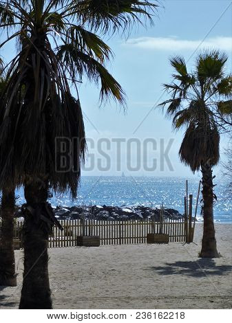 Golden Beach With Palm Trees In The Town Of Frejus, French Riviera