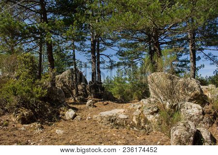 Mount Limbara (sardenia, Italy) - National Park View
