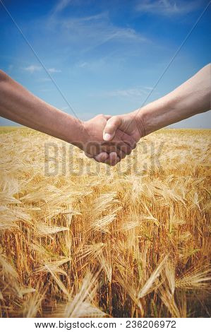 Farmers Handshake With Wheat Field In Harvest Time On Background