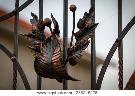 Decorative Parts Of Metal Gates, Elements Of Hand Forging.