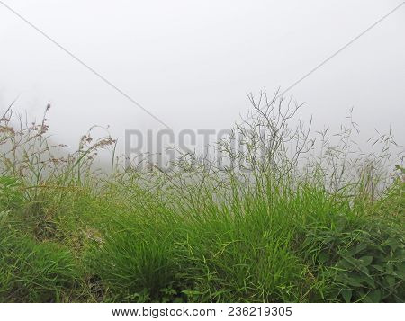 Fog On The Volcano Rinjani Indonesia. Rinjani Trekking.