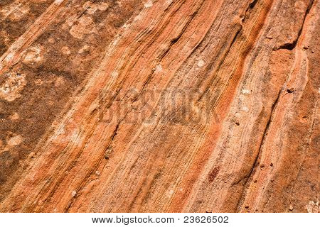 Modelli Slick Rock
