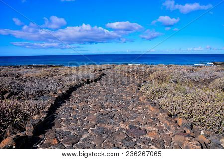 Photo Picture Of A Countryside Desert Dirt Road