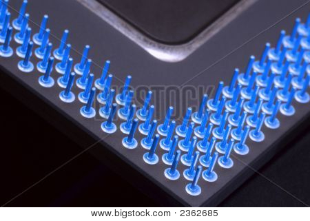 Bluedetail