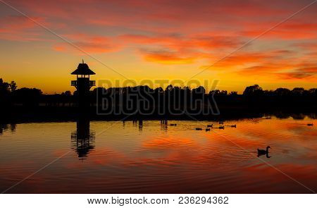 Still Waters At Henley Lake Park, Masterton, New Zealand At Dawn.