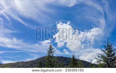 Panorama Of Sky With Cirrus And Cumulus Clouds Over Mountain Slope Covered Forest And Tops Of Young 