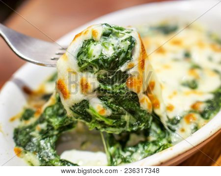Closeup Of Spinach With Cheese On Fork In The Restaurant (selective Focus)