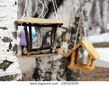 Birdhouse On Birch Tree. Nesting Box On A Tree In A Park, Spring.