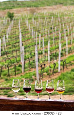 Glasses With Wine. Red, Pink, White Wine In Glasses. Set Of Glasses With Red, White And Rose Wine Ta