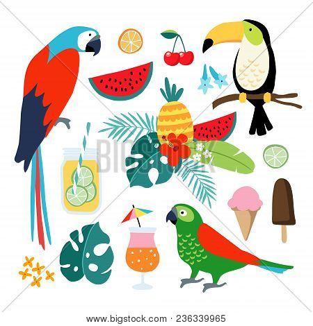 Summer Tropical Graphic Elements. Toucan, Parrot Birds. Cocktails, Fruit, Icecream And Jungle Floral
