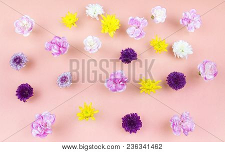 Flower Flat Lay Flower Fream Top View