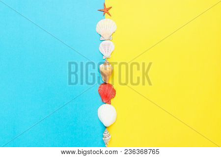 Sea Shells Of Different Shapes Spiral Flat Red Starfish On Split Duo Tone Yellow Blue Background. Su