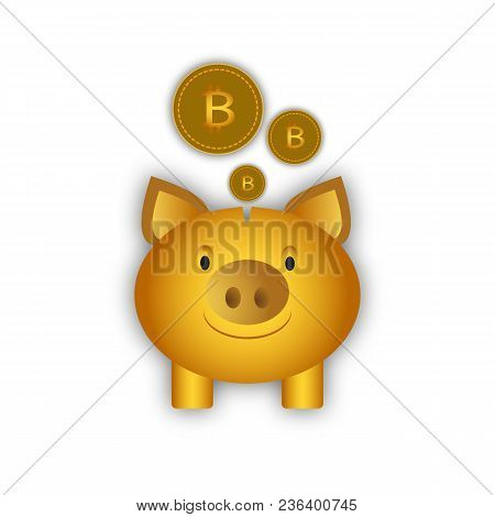 Piggy Bank For Coins, Picking Up Bitcoin, Investment In Bitcoin, Capital Bank, Bank Account, Deposit