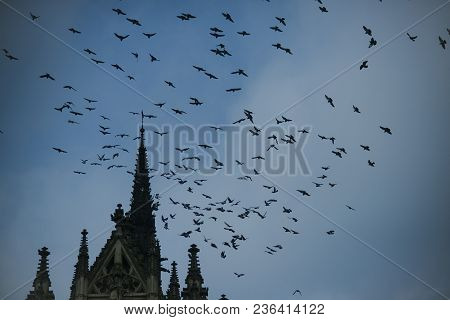 Birds Fly To Warmer Lands. Migratory Birds Concept. Birds Fly Above Tower Or Belfry. Black Birds Or 