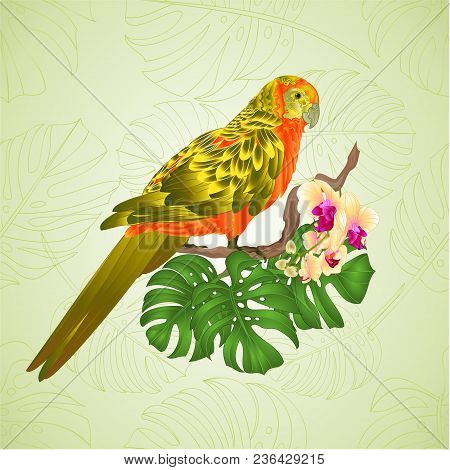 Sun Conure Parrot Tropical Exotic Bird   With Beautiful Yellow Orchid And Philodendron Vector Illust