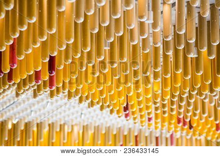 Ceiling Decorations That Consists Of Narrow Yellow Tubes Filled With Food Spices