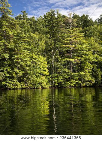Rippled Reflections Of Trees In Squam Lake, New Hampshire