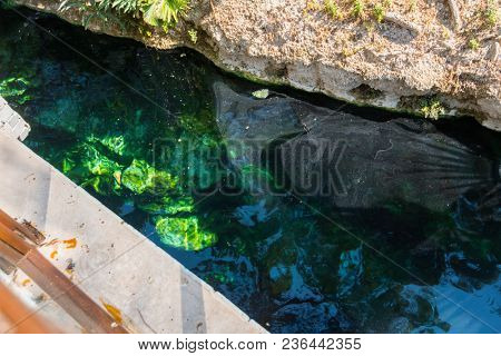 Cleopatra pool. Color of water is caused by the presence of a large amount of radon. Pammukale, Turkey