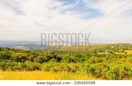 View Of Silicon Valley From Vista Point At Edgewood Park In Redwood City, Ca