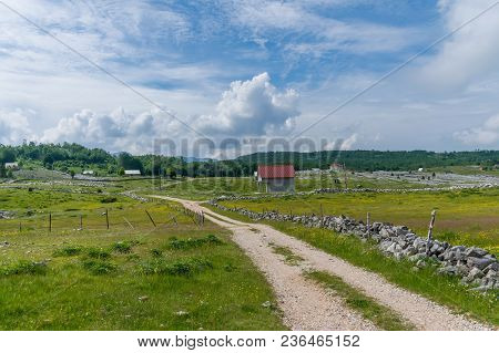 The Rural Road Leads To Small Houses.