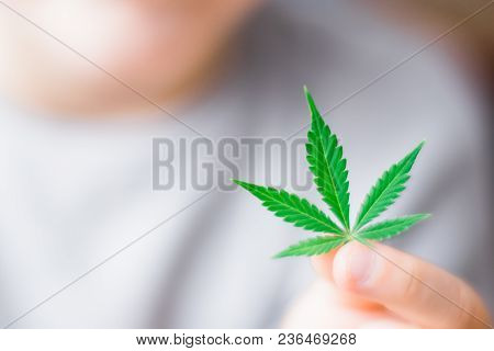 Smiling Kid Child Holding A Hemp Leaf. Concepts Of Using Marihuna For Medicinal Purposes For Childre