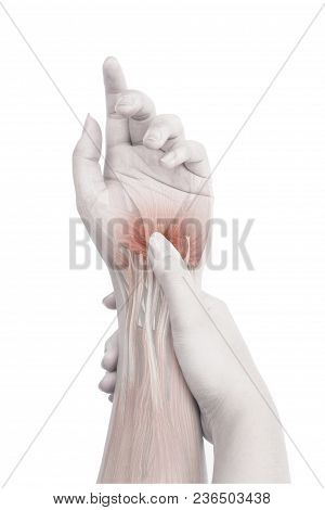 Wrist Muscle Pain White Background Wrist Pain