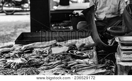 Hilsa Rohu Katla Lobster Prawn And Various Types Of Fishes Displayed In Indian Fish Market At Kolkat