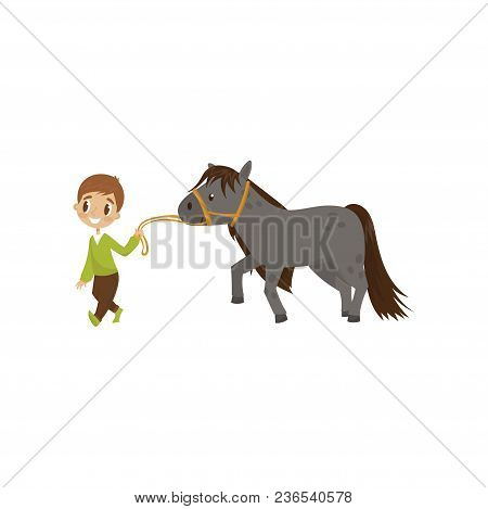 Cute Litlle Boy Walking Horse, Equestrian Sport Concept Cartoon Vector Illustration Isolated On A Wh
