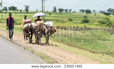 Omo, Ethiopia - September 2017: Unidentified Ethiopian People Walking Along The Road. People In Ethi