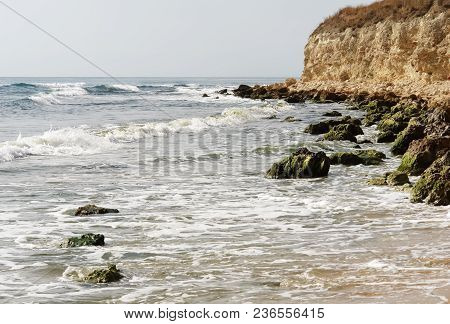 A Picturesque Landscape With Waves, Stones With Green Seaweed And A High Steep Shore On The Black Se