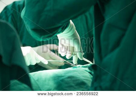 The Surgery Team Working Together At The Operating Room In The Hospital.